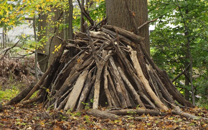 Haber-Shelter.jpeg Haber-Shelter.jpeg